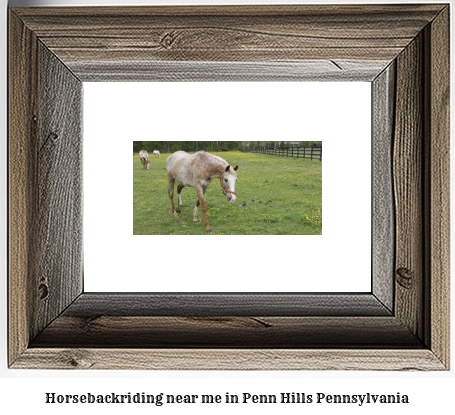 horseback riding near me in Penn Hills, Pennsylvania